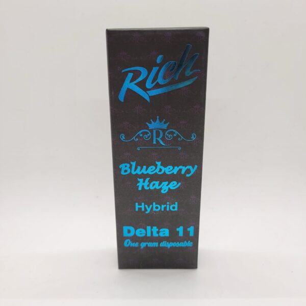 Rich 1g Delta-11 Blueberry Haze Disposable Vape